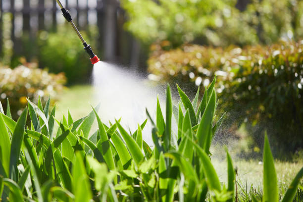 Tamper-Resistant Bait Stations for Rodents in Lexington