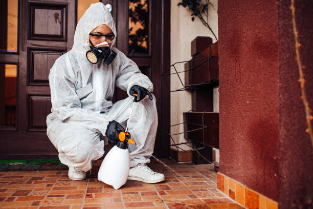 Attic and Crawl Space Rodent Treatment in Lexington